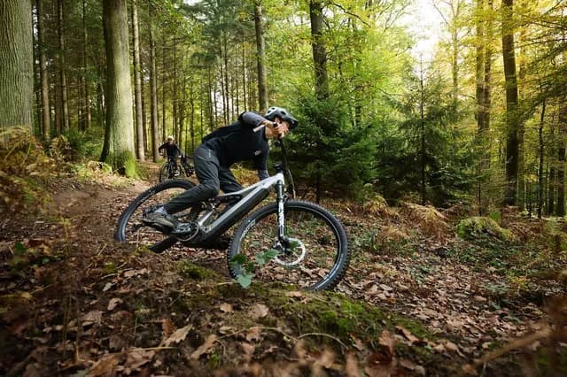 Image de couverture de la catégorie Vélos tout terrain